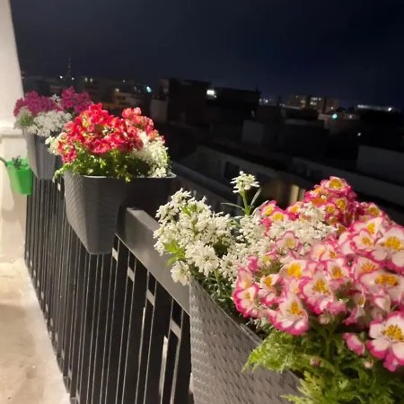 Mikka Studios: Luxury Apartman