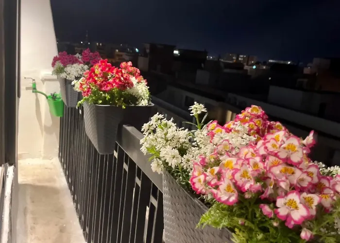 Mikka Studios: Luxury Apartment